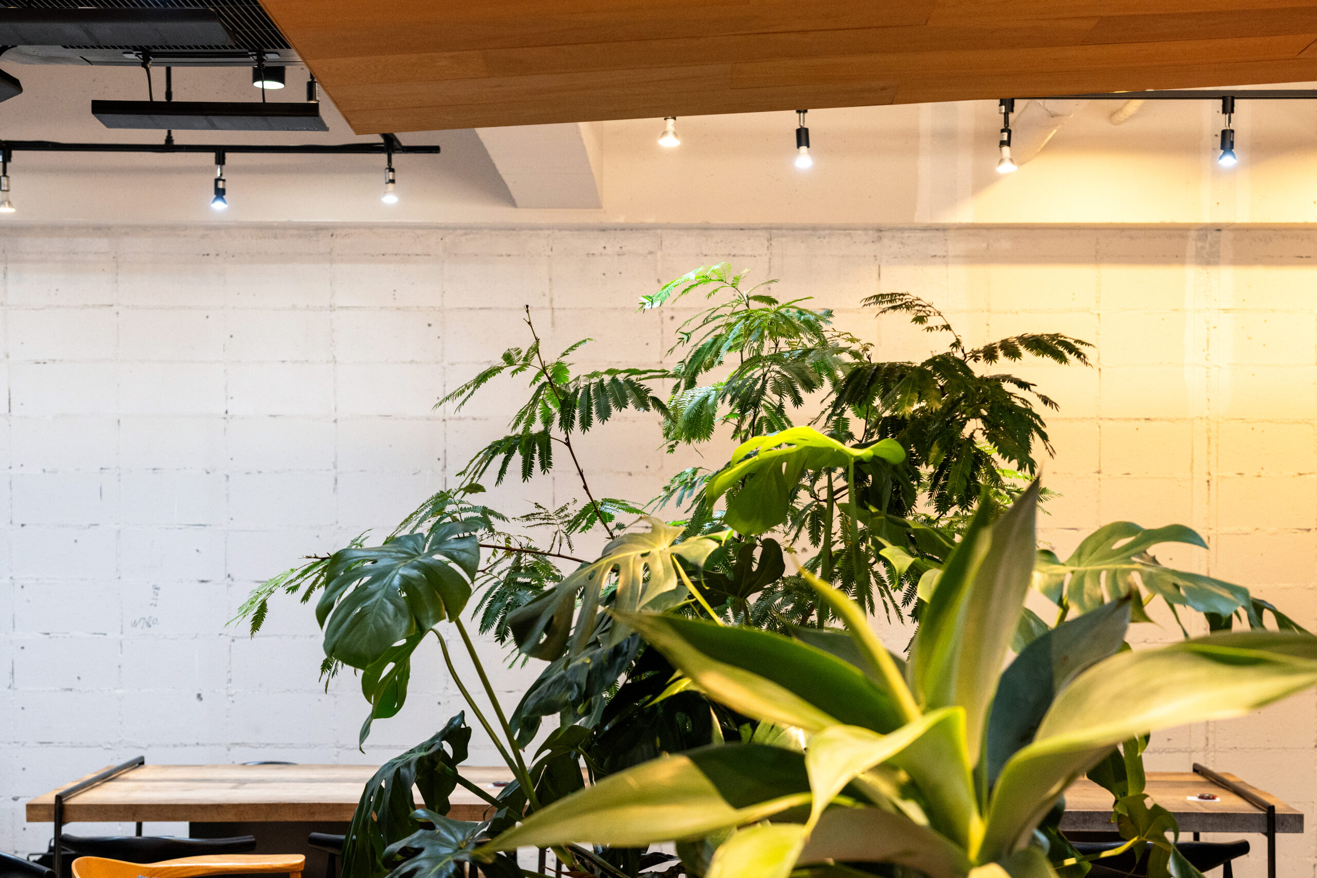 GRAND DESIGN OFFICE 成瀬勝彦 建築デザイン・店舗設計、WEBデザイン・構築、グラフィックデザイン、サインデザイ